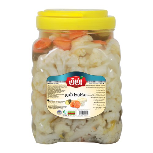 مخلوط شور Mixed Pickled  2500 g | شرکت آریا شور